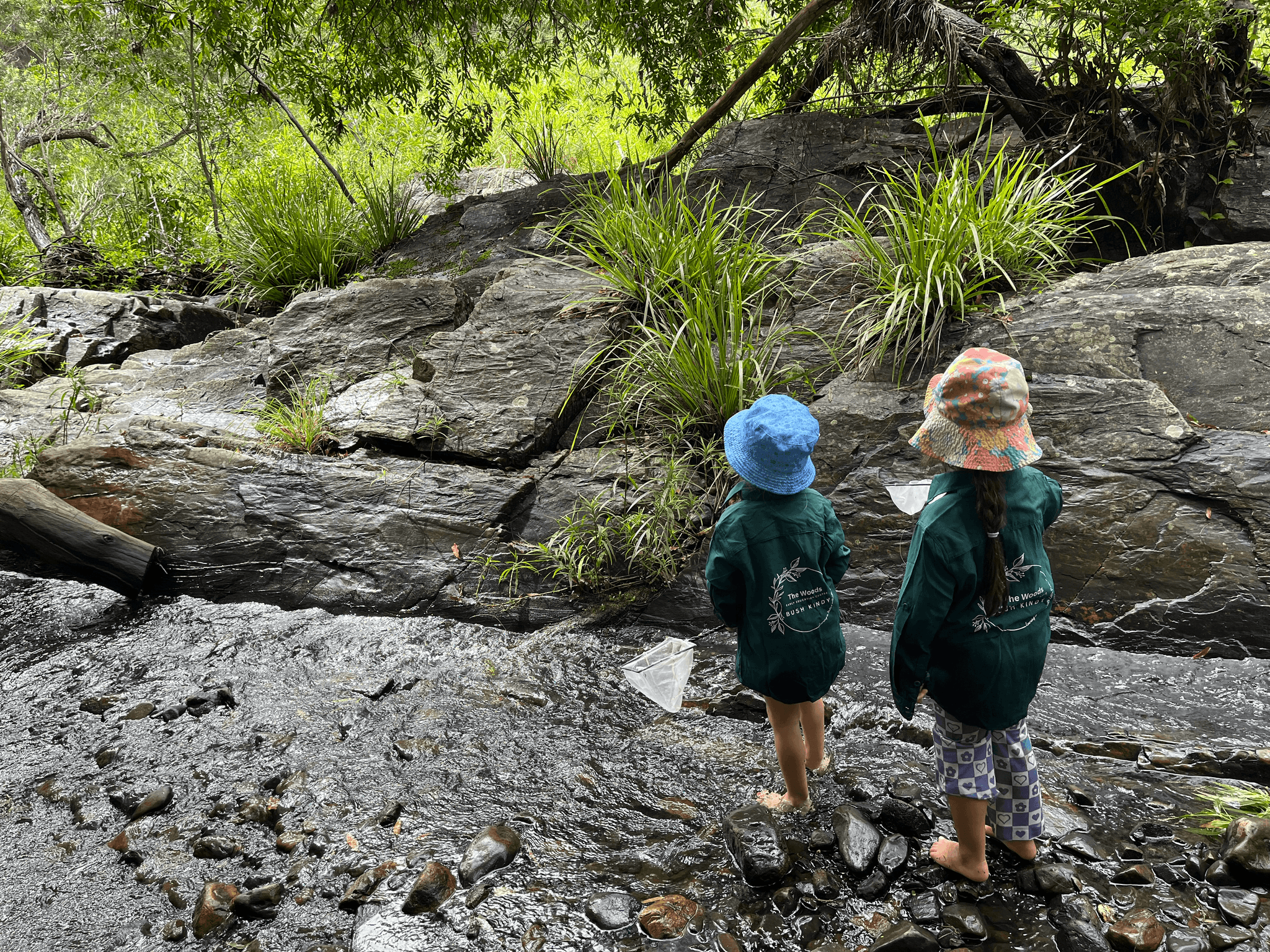 Learning in the wild: QCCS celebrates Australian Wildlife Week